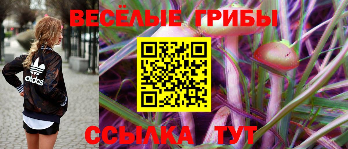 Псилоцибиновые грибы Psilocybe Лабытнанги