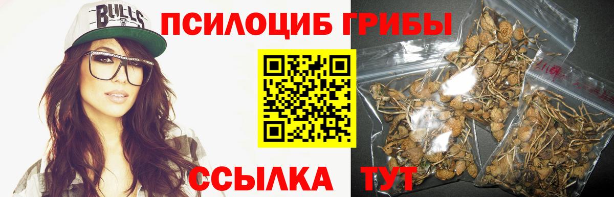 Псилоцибиновые грибы GOLDEN TEACHER  Псилоцибиновые грибы GOLDEN TEACHER  Вход с VPN  Лабытнанги 